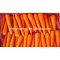 Preço de cenoura fresca orgânica chinesa